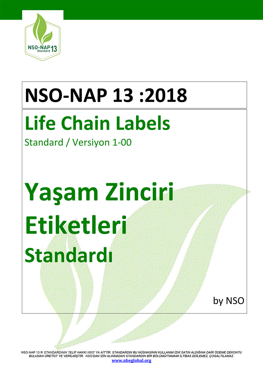 NSO-NAP-13 standardı