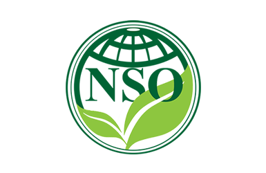 nso logo