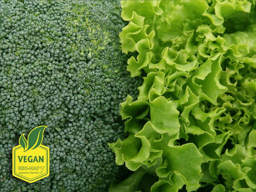 vegan belgesi